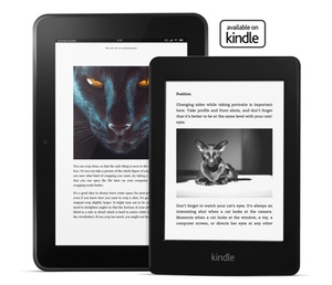 The Art of Cat Photography for Kindle