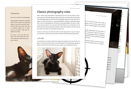Classic photography rules (screenshot of ebook pages)