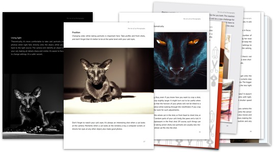 Creativity (screenshots of ebook pages)